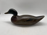 mason challenge grade mallard