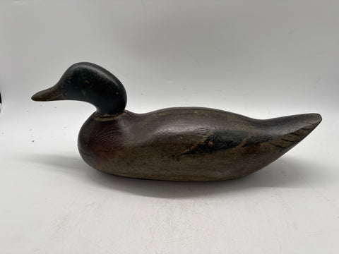 mason challenge grade mallard