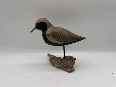 Black bellied plover by Illinois artist Charlie Moore