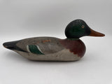 Mason mallard drake