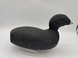 Animal Trap Coot