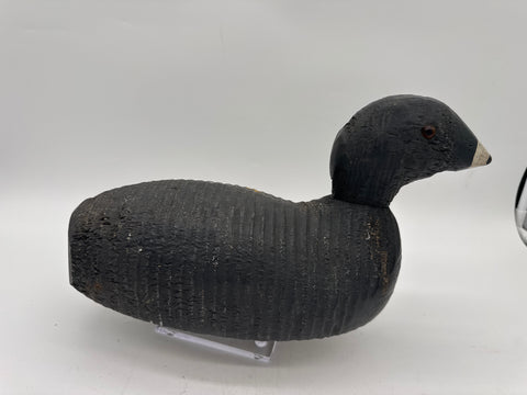 Animal Trap Coot