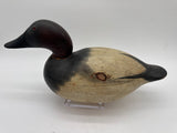 Mason Premier Canvasback Drake