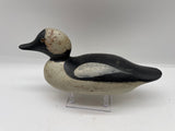 Mason bufflehead