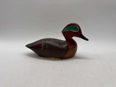 green wing teal by Steve Houmen