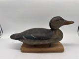 mason hen mallard