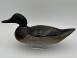 Early Mason Challenge Grade Mallard Drake