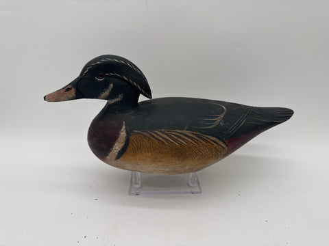 Wood duck drake