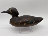 Mason standard grade blue wing teal drake