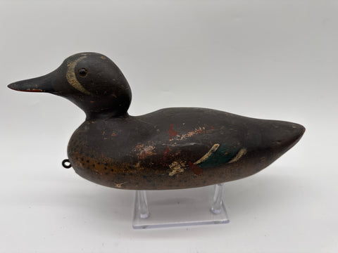 Mason standard grade blue wing teal drake