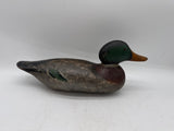 Mason mallard drake