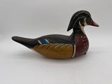 Wood duck drake