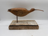 wimbrell shorebird