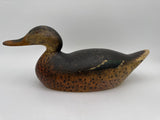 Mason premier mallard hen