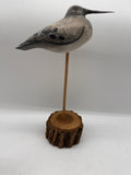 Shorebird