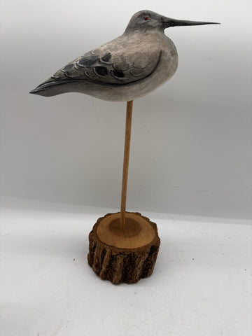 Shorebird