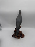 Herters passanger pigeon or dove