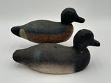 Blue wing teal pair