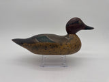 Mason green wing teal