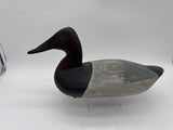 Canvasback drake by James Holly