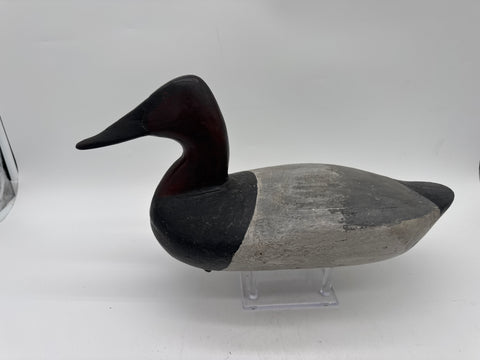 Canvasback drake by James Holly