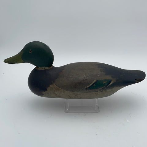 Mason mallard