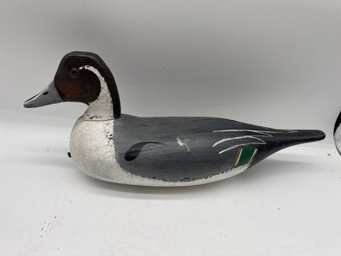 pintail decoy