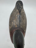 Mason standard grade mallard drake