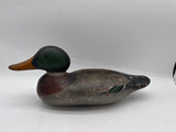Mason mallard drake