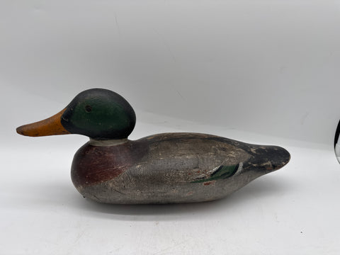 Mason mallard drake