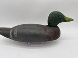 Animal Trap Mallard drake