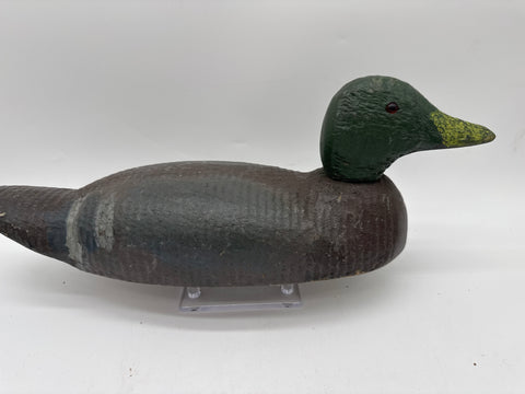 Animal Trap Mallard drake