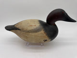 Mason Premier Canvasback Drake