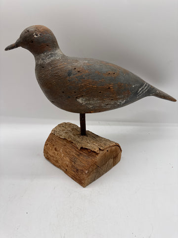 english pigeon decoy
