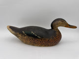 Mason premier mallard hen