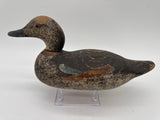Mason challenge grade blue wing teal hen