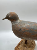 english pigeon decoy