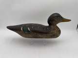 Mason standard grade mallard hen