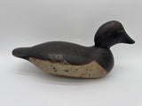 Mason goldeneye hen