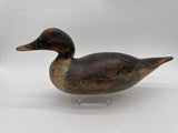 Mason Premier Pintail Drake