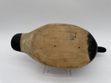 Mason Premier Canvasback Drake