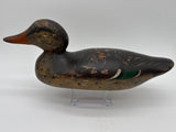 Mason standard grade tac eye hen mallard
