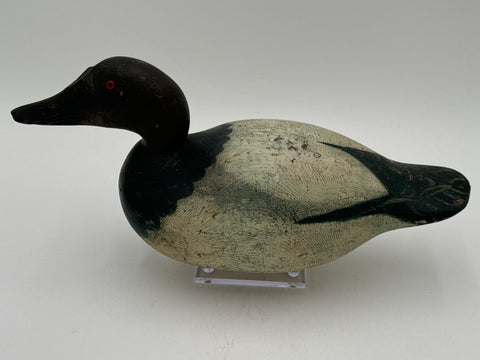 Mason Canvasback Premier Drake