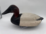 Drake Canvasback