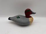 Green wing teal
