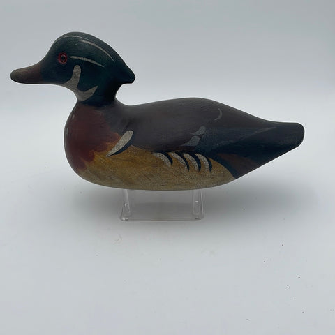 Pratt wood duck