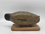 mason hen mallard