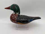 wood duck drake