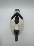 Bufflehead drake