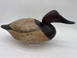 Mason Premier canvasback Drake